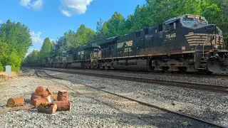 NORFOLK AND SOUTHERN west bound empty hoppers Abeline Virginia USA May 9, 2025
