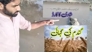 Weat ki bihai ....November 30, 2025