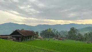 Suasana Kampung Di Tengah Sawah Penghasil Cangkaleng, Menjelang Ramadhan | Cisewu, Garut, Jawa Barat