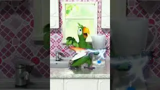 Talking Pierre the Parrot  
