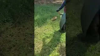 Grunand working in brush cutting