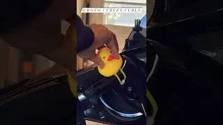 AMAZON MOTORCYCLE FIND - Rubber Duck
