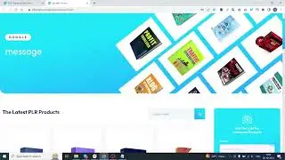 PLR Empire Review - PLR Empire System By Brett Ingram