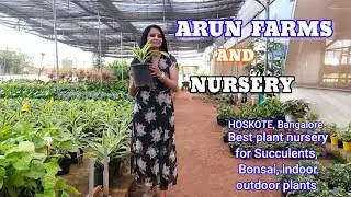 ARUN FARMS & NURSERY|Hoskote, Bangalore|Best plants nursery in Bangalore