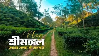 আমার শ্রীমঙ্গল ট্রাভেল স্টোরি—কোথায় গেলাম, কী দেখলাম | BD Vlogs Life