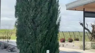 HEATH SPARKLING WINES AT FREDERICKSBURG HOUSTON TEXAS!!!!