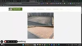 Tree Leaf Care Website Audit | Tree Service Business SEO Suggestions | Galway Ireland