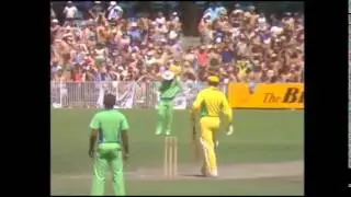 Cricket   Ducks, Ducks AND      Ducks !! LOL