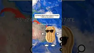 😱I Found Weird Giant Peanut Caught On Google Earth! #shorts #findmysterioussecrets