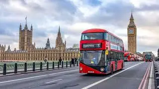 Lesson 7: Useful English Vocabulary (Words 48-55)
