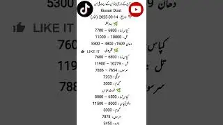 Today grain market rates. #زراعت #ricefarming #cotton #wheat #ratesupdate #marketrates #agriculture