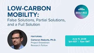 Low-Carbon Mobility: False Solutions, Partial Solutions, and a Full Solution