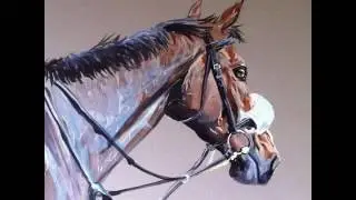Artwork from my portfolio . Jane Wills Equine Artist