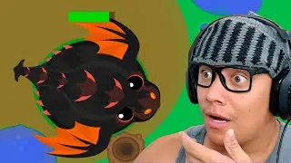 BLACK DRAGON Roams.io