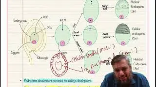 Reproduction in Flowering Plants - Post Fertilization