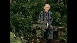 A Seed From The Sower: 