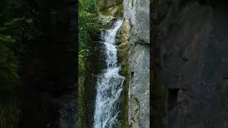 Gentle Cliffside Waterfall | Relaxing Music | Slow Motion Bliss with Birdsong & Flowing Water