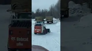 Bobcat Plow #shortvideo