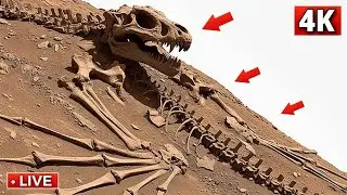 NASA Mars Rover Shared New 4K 360&deg; Footage of Mars SOL 1547! Perseverance Rover' Mars 4K Video