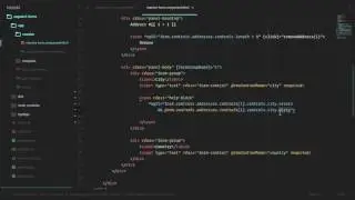 [Angular 2+ Forms and Validation] Lesson17   Address Template Validation