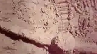 Ianopolis