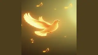 Soul Session