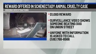 Reward offered in Schenectady animal cruelty case