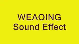 Classic Team Sponkel Censor Sound Effect
