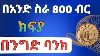 በትንሹ በ ቀን 800 ብር ስሩ | Make Money Online 2026 | online ስራ በኢትዮጵያ