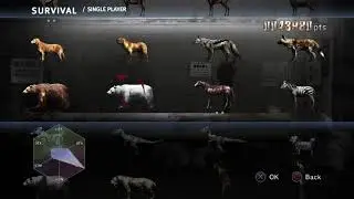 TOKYO JUNGLE: ALL ANIMALS,STORY,ARCHIVES