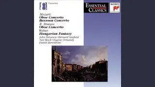 Oboe Concerto in D Major, TrV 292: II. Andante