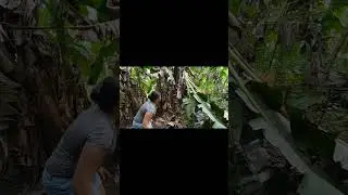 The reality in the rural areas mostly used the 