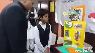 PISJ - ES Science  Exhibition (2018)