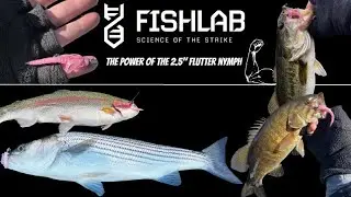 FishLab 2.5