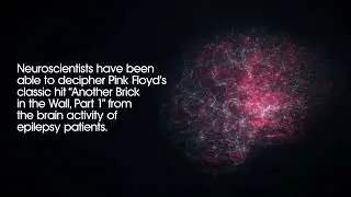 Classic Pink Floyd Track Decoded From Brain Activity 🎶