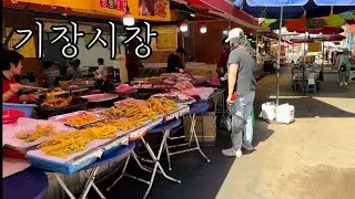 평일 점심시간 기장시장 한바퀴 돌아보기