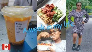 My First Week In Toronto Canada / Vlog 3