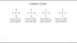 Alcohol Reactions