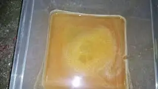 How to extract the tomato juice without electronic equipment.