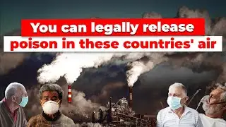 The Ugly Truth About Pollution Havens | Environmental Economics | Economics