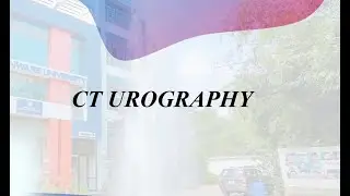 CT Urography: What to Expect and How It Works