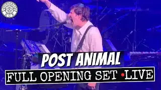 Post Animal Full Opening Set LIVE