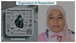 Regulation of Respiration - podcast