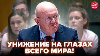 💥ВАШИНГТОН ВЗОРВАЛ ЗАЛ! Небензю УНИЗИЛИ в ПРЯМОМ ЭФИРЕ (ВИДЕО). МОСКВА В БЕШЕНСТВЕ!