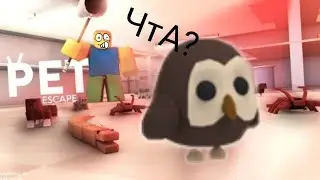 Играю в Pet Escape. Roblox 😱 /Roblox girl /