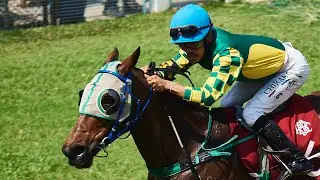 GREAT WILL - 01/02/2026 - Race 1 - The Beauty Stakes (Country-Bred Class 5)