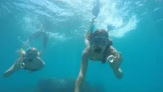 Australia 2016 - Backpacking Tasmania to Cairns | GoPro Hero4