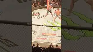 Michael Chandler Knocks out Tony Ferguson