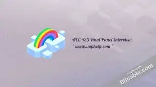 ACC 423 Final Panel Interview| uop| fast delivery