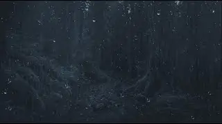 Rain and Thunderstorm Sounds 🌧️ | Melt Into Deep Sleep & End Insomnia Tonight
